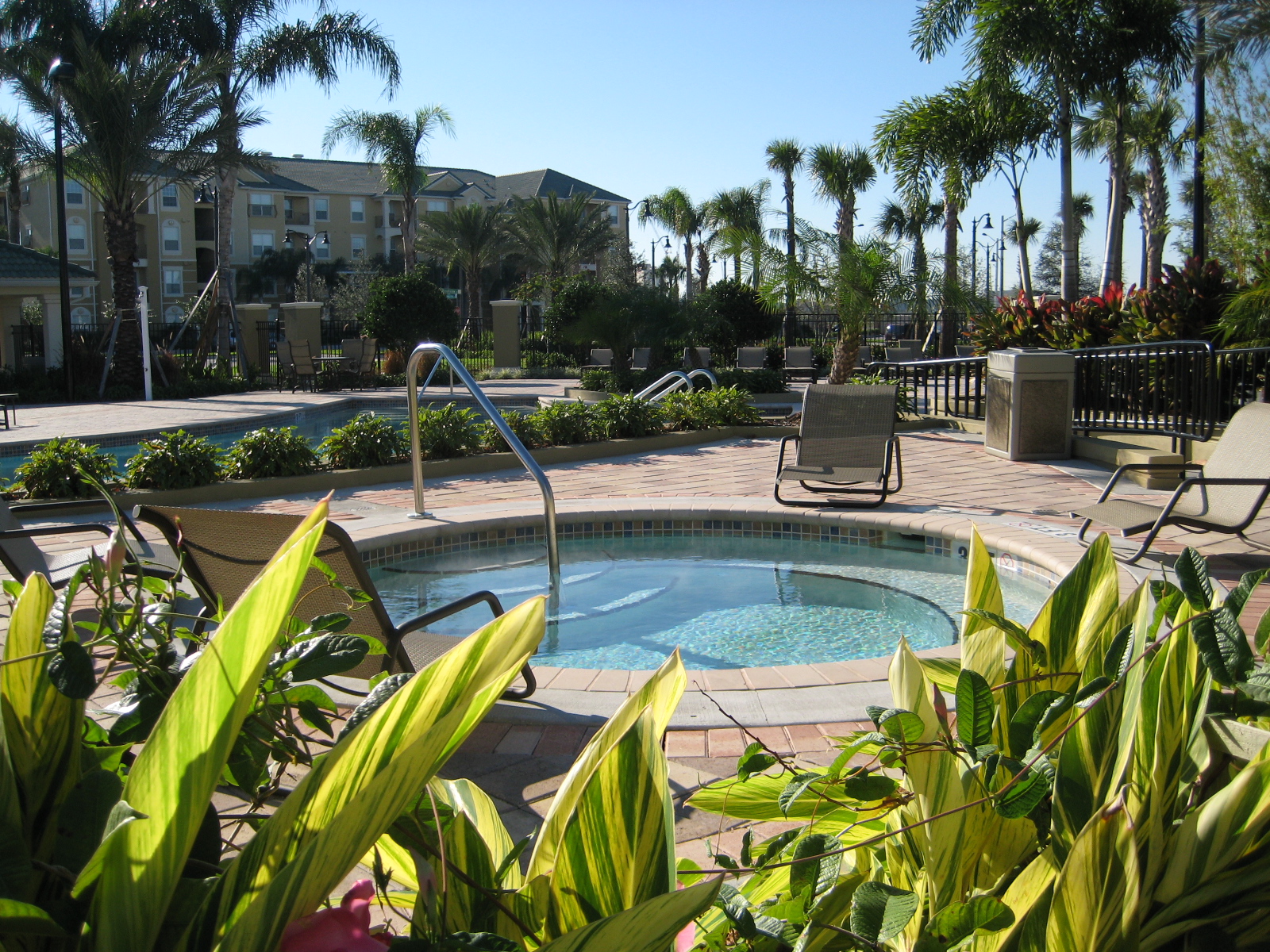 Luxury Florida Rent: Resort Pool Area